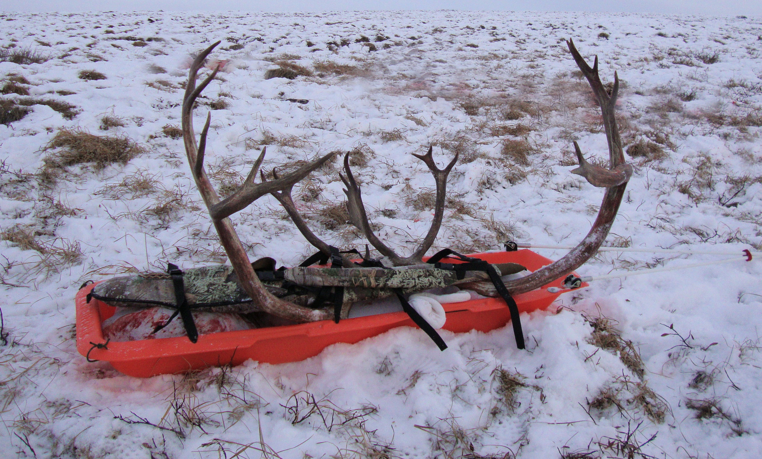 deer drag sled